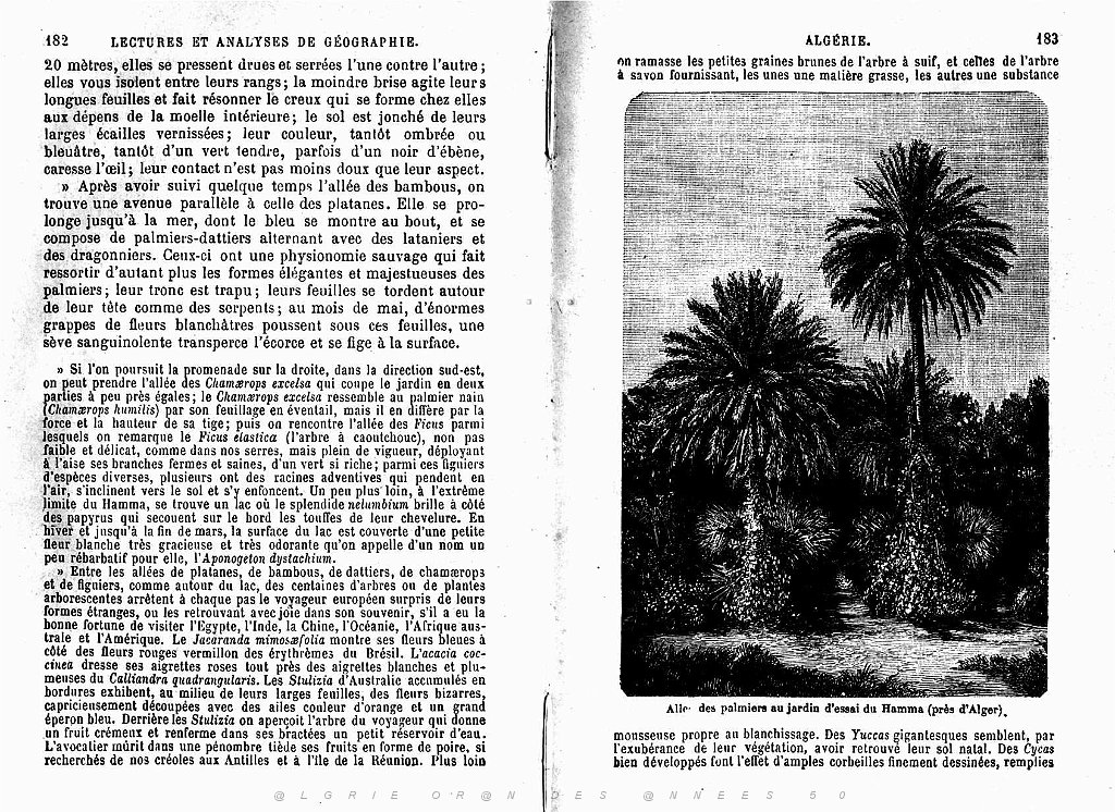 LECTURES ET ANALYSES DE GEOGRAPHIE SUR L ALGERIE (51).jpg